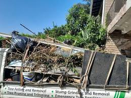 Best Electronics and E-Waste Disposal  in Chalco, NE